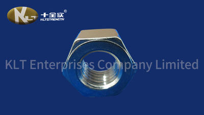 Security Bolts Stainless Steel Aisi Nut