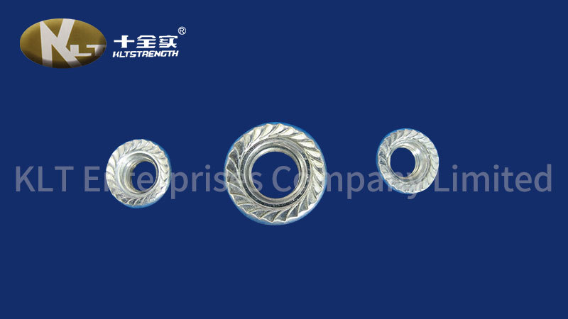Flange Metal Nuts Zp Galvanized Bolts