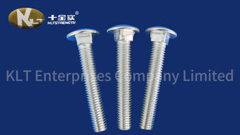 Carriage Bolt Screws And Nuts